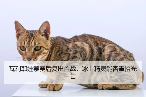 瓦利耶娃禁赛后复出首战，冰上精灵能否重拾光芒