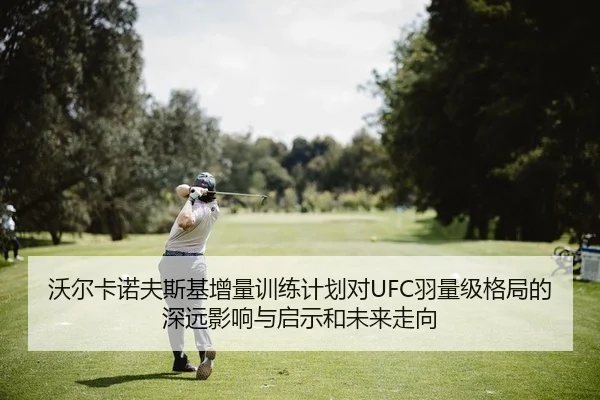 沃尔卡诺夫斯基增量训练计划对UFC羽量级格局的深远影响与启示和未来走向（Leyu）